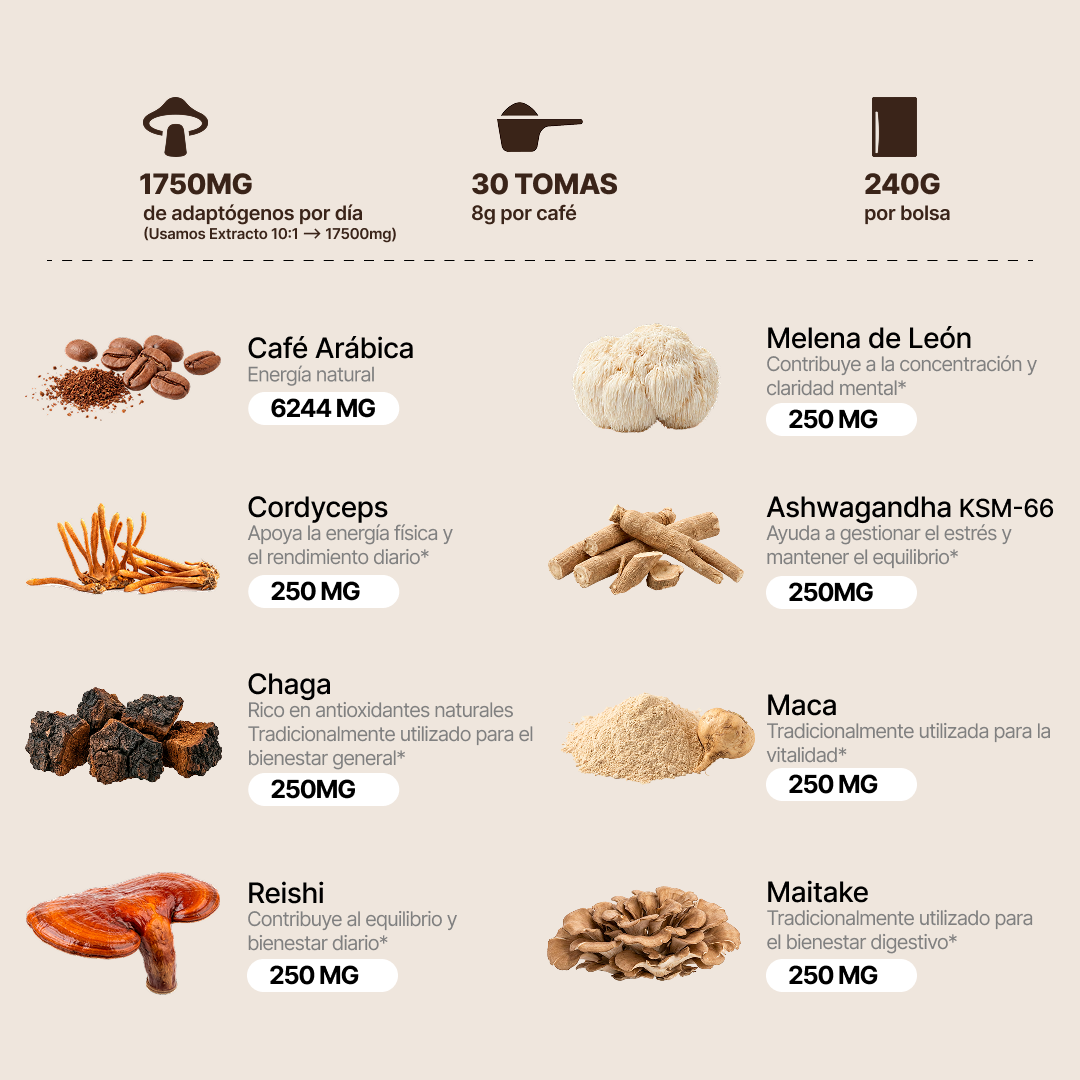 Café con Hongos Funcionales