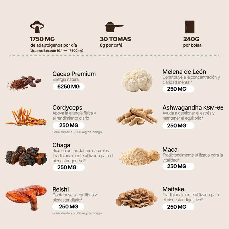 Cacao con Hongos Funcionales