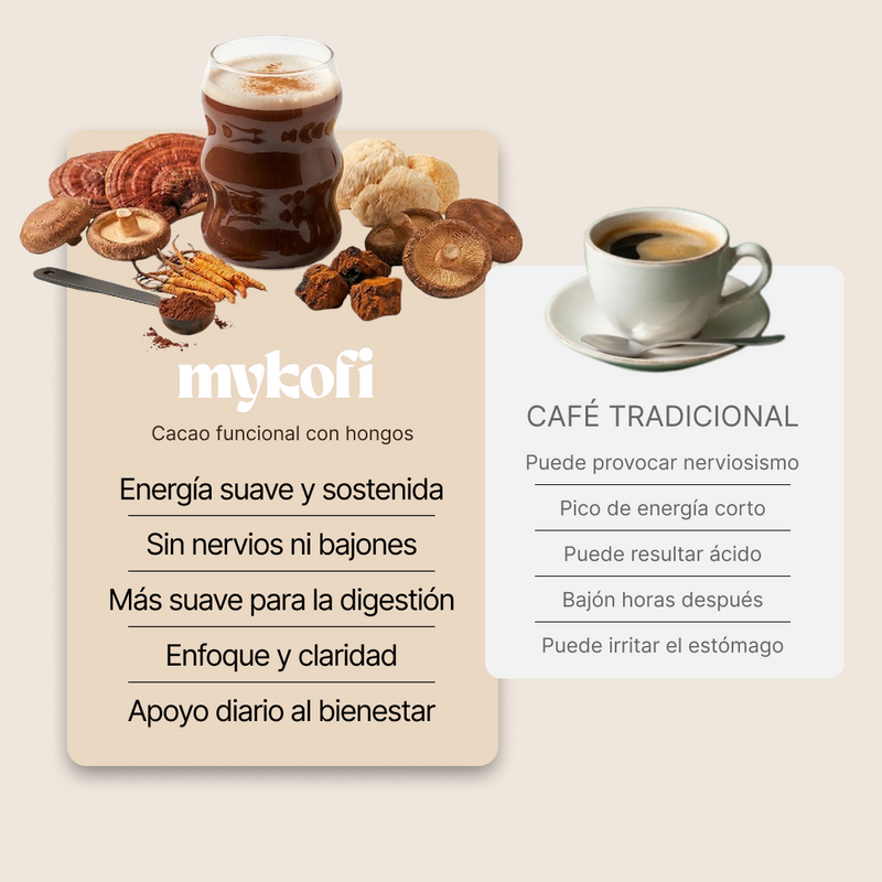Cacao con Hongos Funcionales